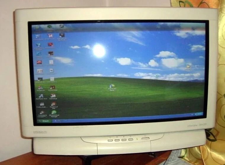 의외로 1995년에 FHD 모니터 쓴 사람_4.png