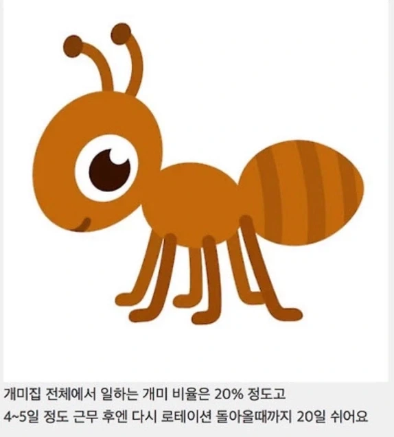 은근 이미지 메이킹 잘한 놈_1.webp