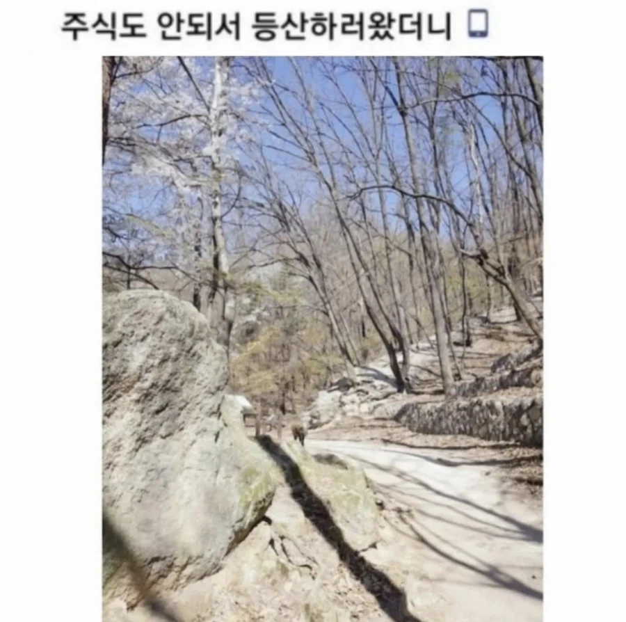 주식도 안되서 등산하러왔더니..jpg_1.webp