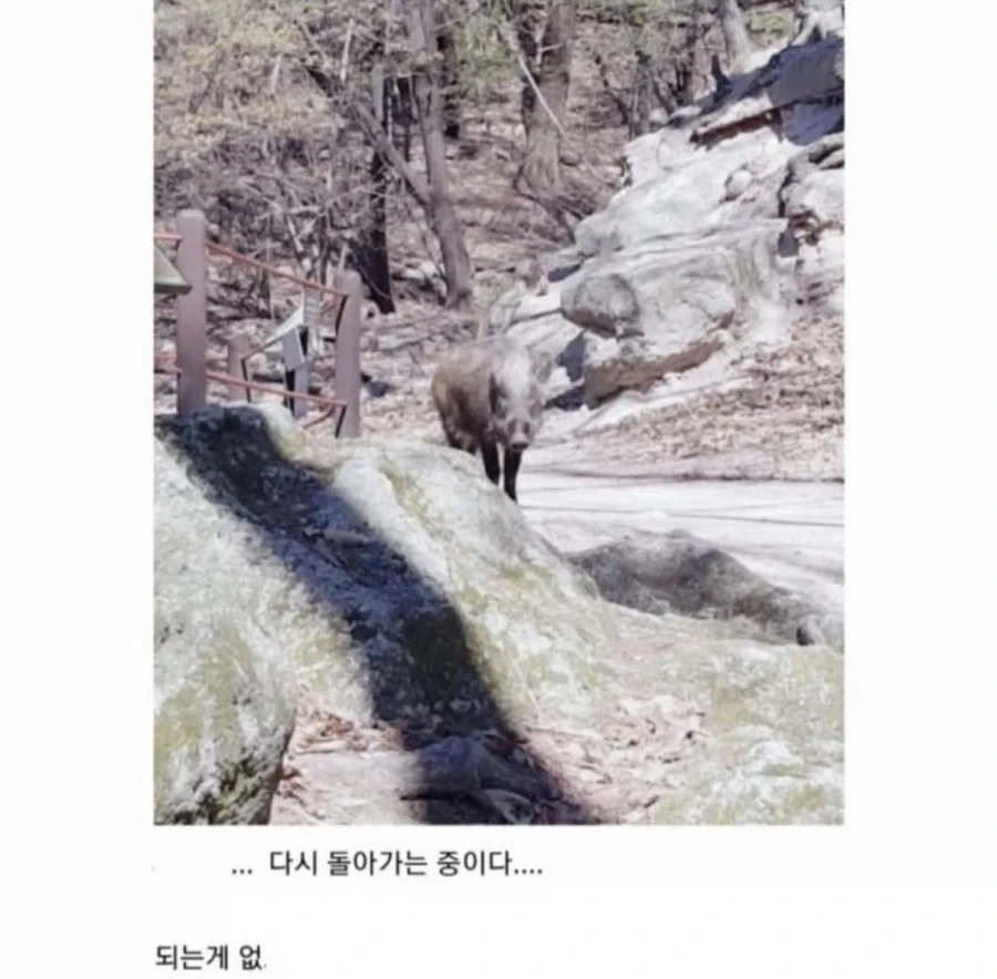 주식도 안되서 등산하러왔더니..jpg_2.webp