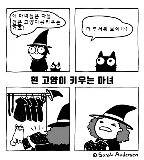 마녀들이 검은 고양이만 키우는 이유_1.webp