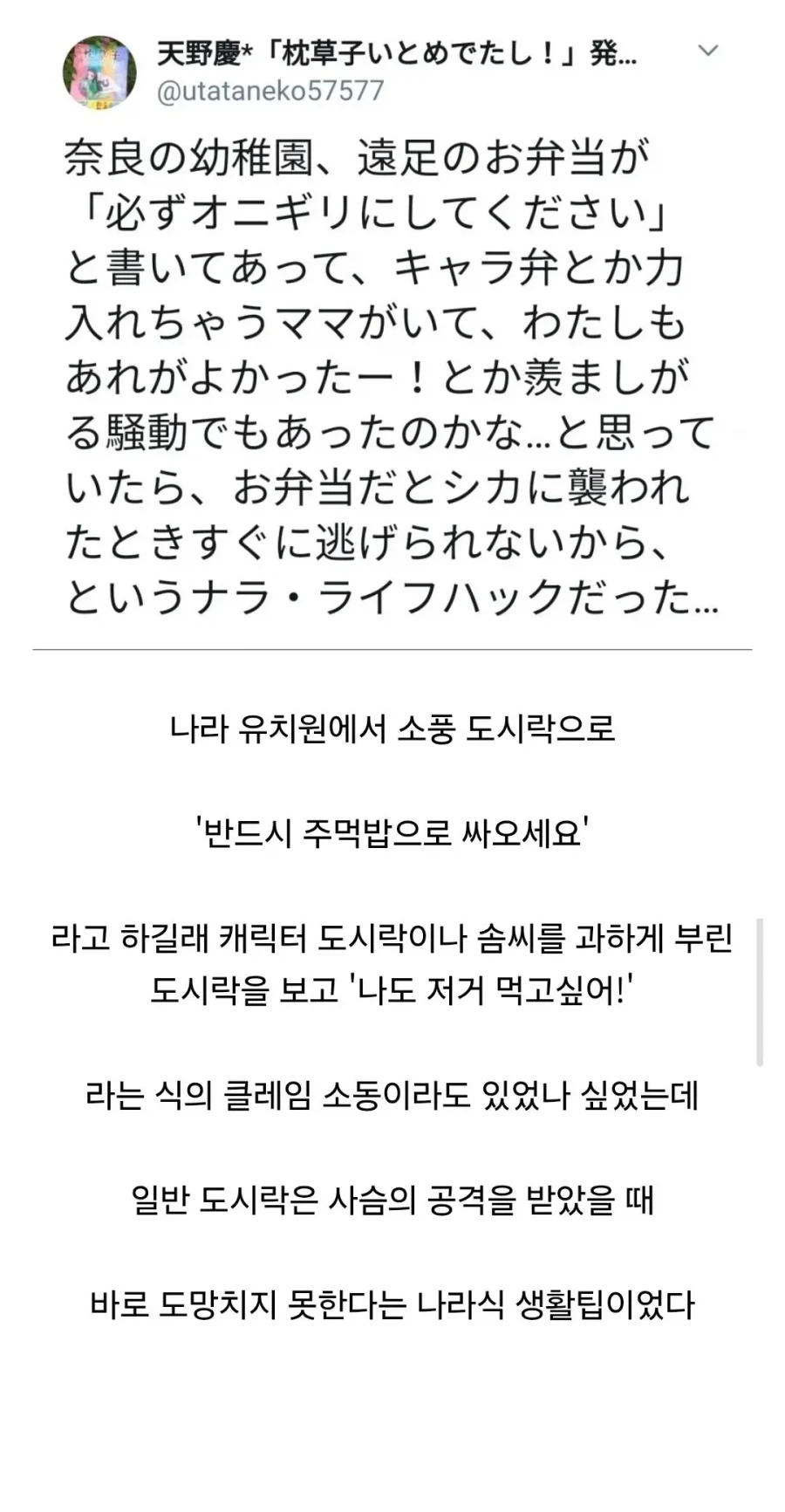 나라 유치원에서 소풍 도시락을 주먹밥으로 통일시킨 이유_1.webp