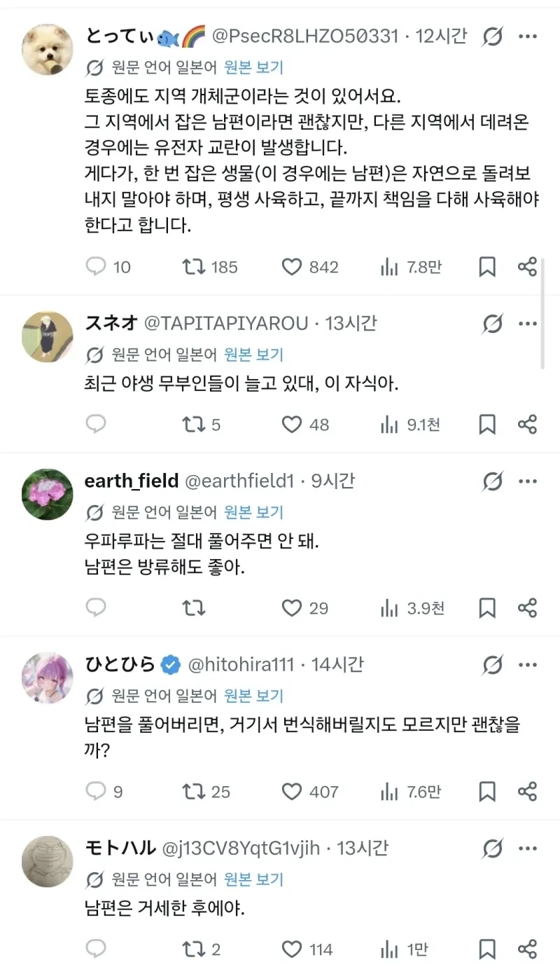 남편이 우파루파를 싫어해서 방류할지 고민중이야_2.webp