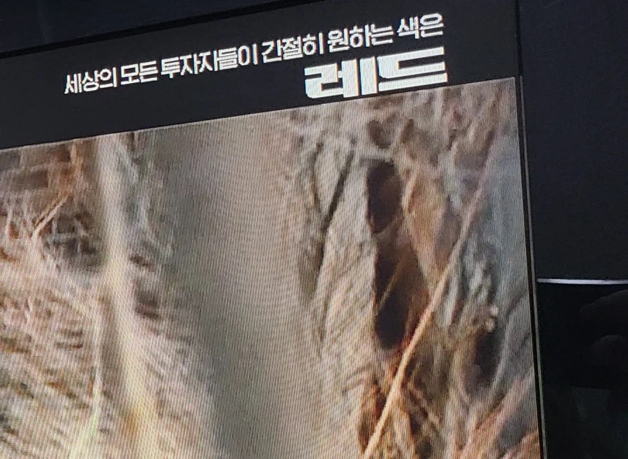 세상 모든 투자자들이 간절히 원하는 색깔은?_1.webp