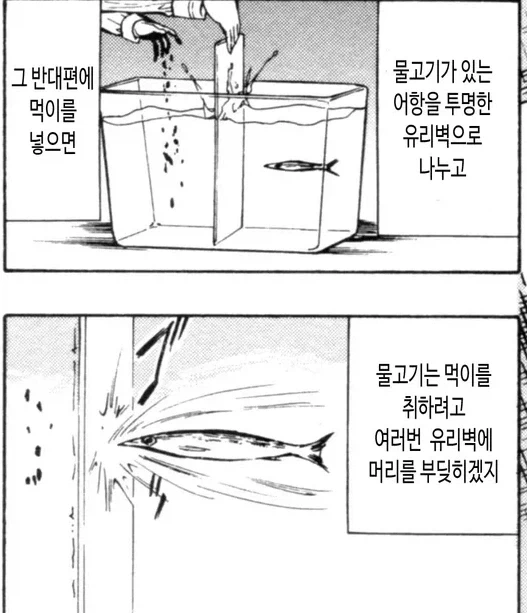 파이크 증후군.jpg_1.webp