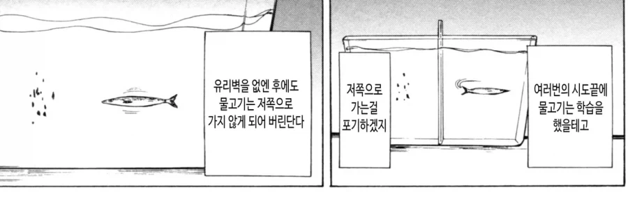 파이크 증후군.jpg_2.webp