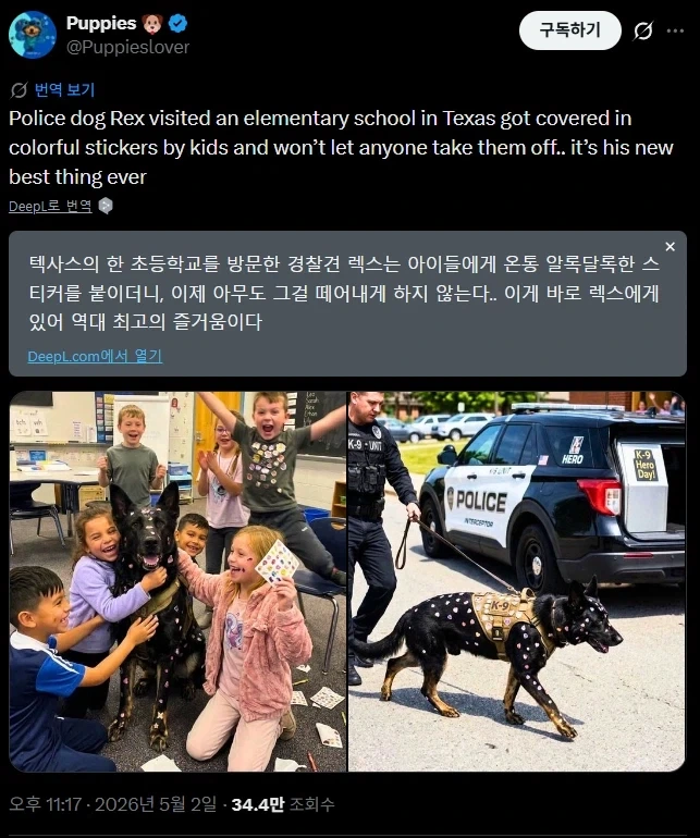 훈장을 얻은 경찰견_3.webp