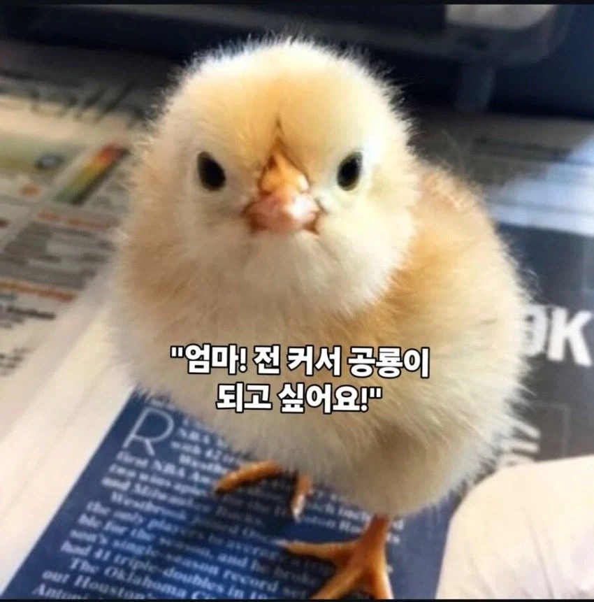 커서 꿈을 이룬 공룡_1.webp
