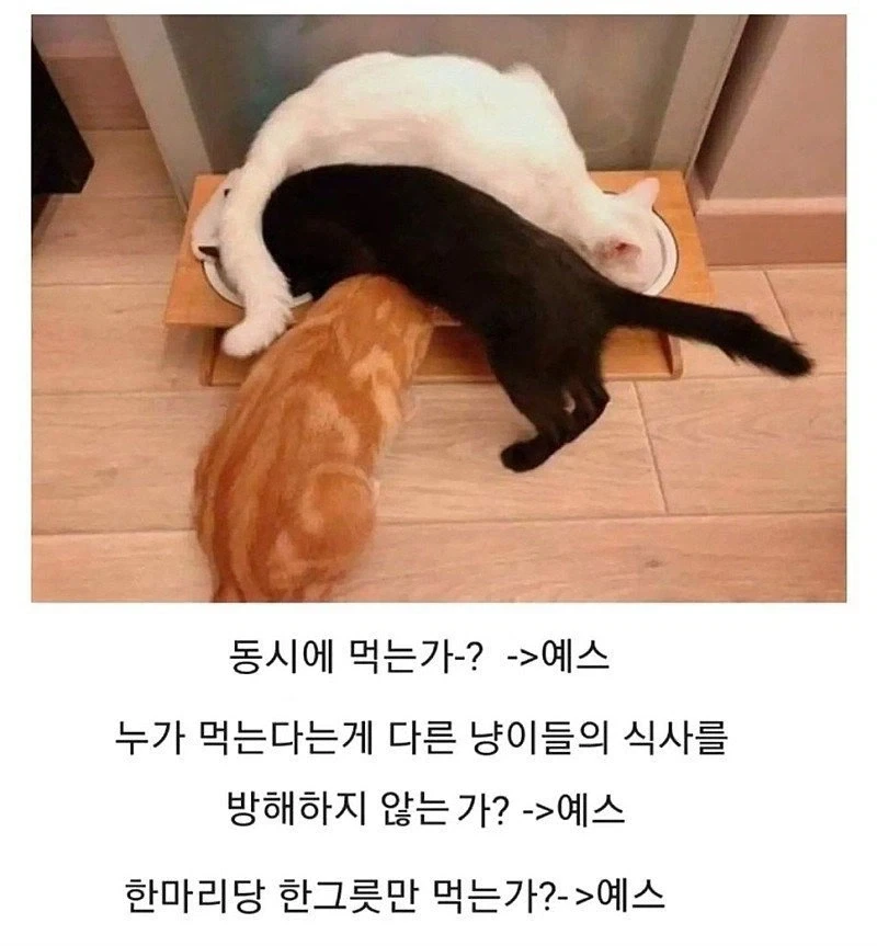 코딩이 잘 된 경우 jpg._1.webp