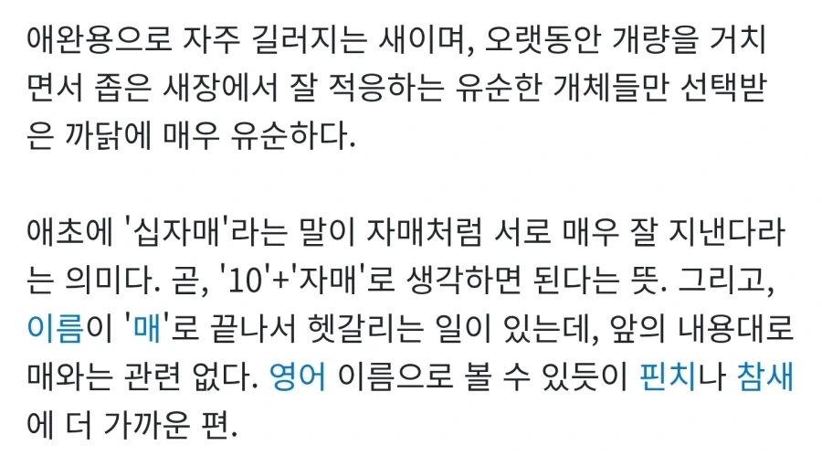 ??? : 여기서 제일 사나운 새를 주시오!!_2.webp
