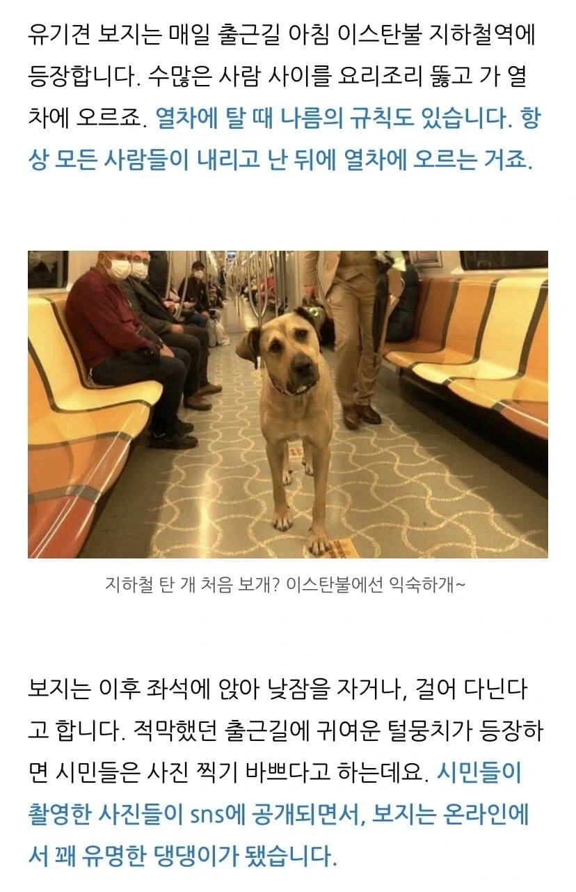 지하철 한복판에서 털난 보지 내놓고 다님_1.webp