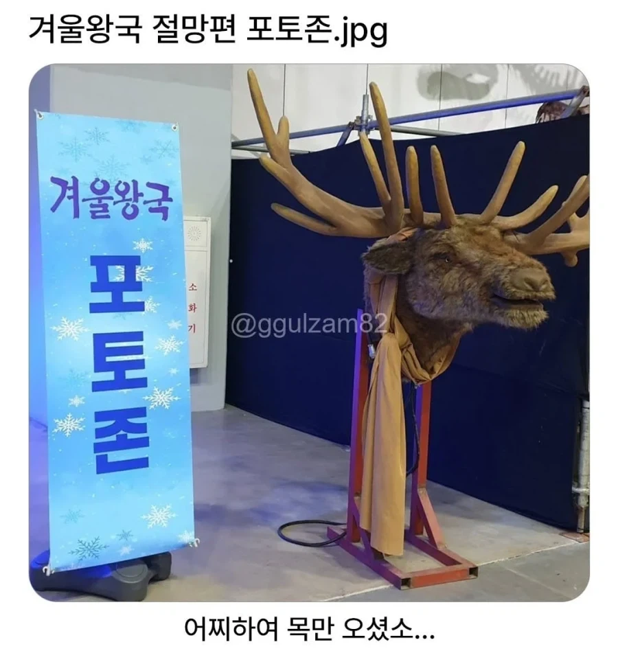 겨울왕국 포토존.jpg_1.webp