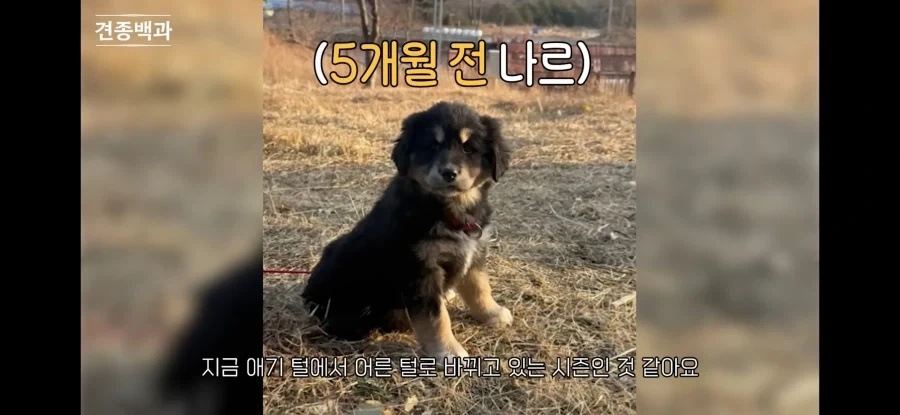 강형욱이 이야기하는 방카르_1.webp