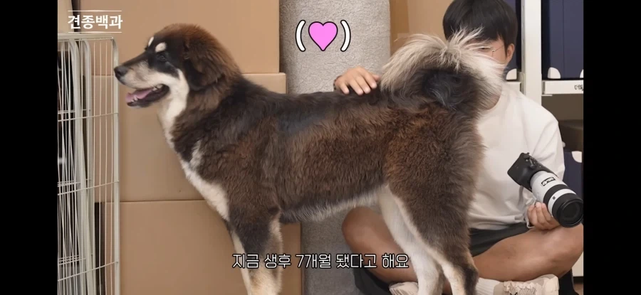 강형욱이 이야기하는 방카르_2.webp