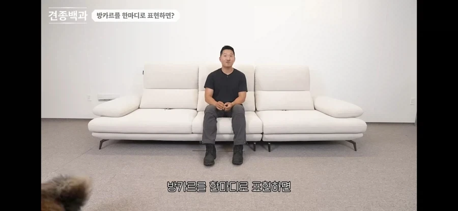 강형욱이 이야기하는 방카르_7.webp