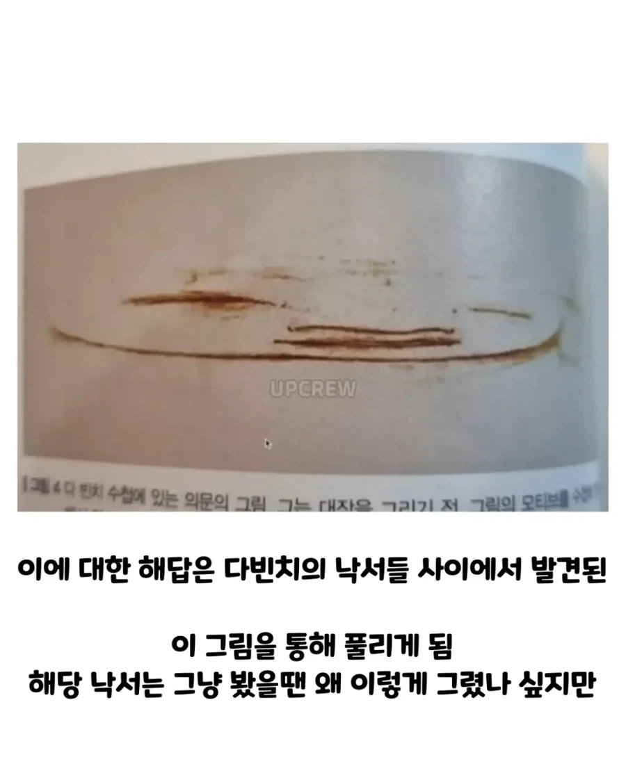 너무 이상하게 그려서 의문이었던 다빈치 그림.jpg_5.webp