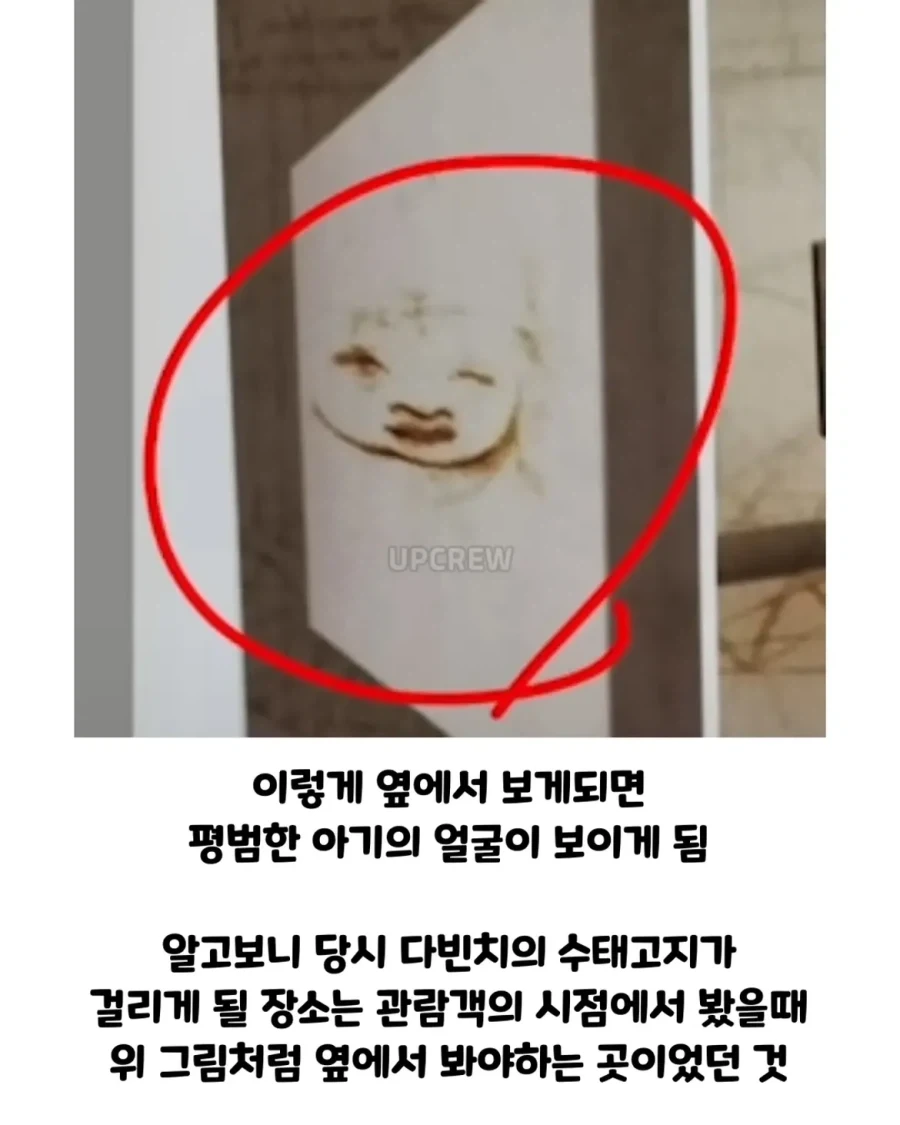 너무 이상하게 그려서 의문이었던 다빈치 그림.jpg_6.webp