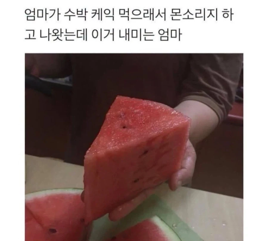 엄마가 수박 케익 먹으래서.jpg_1.webp