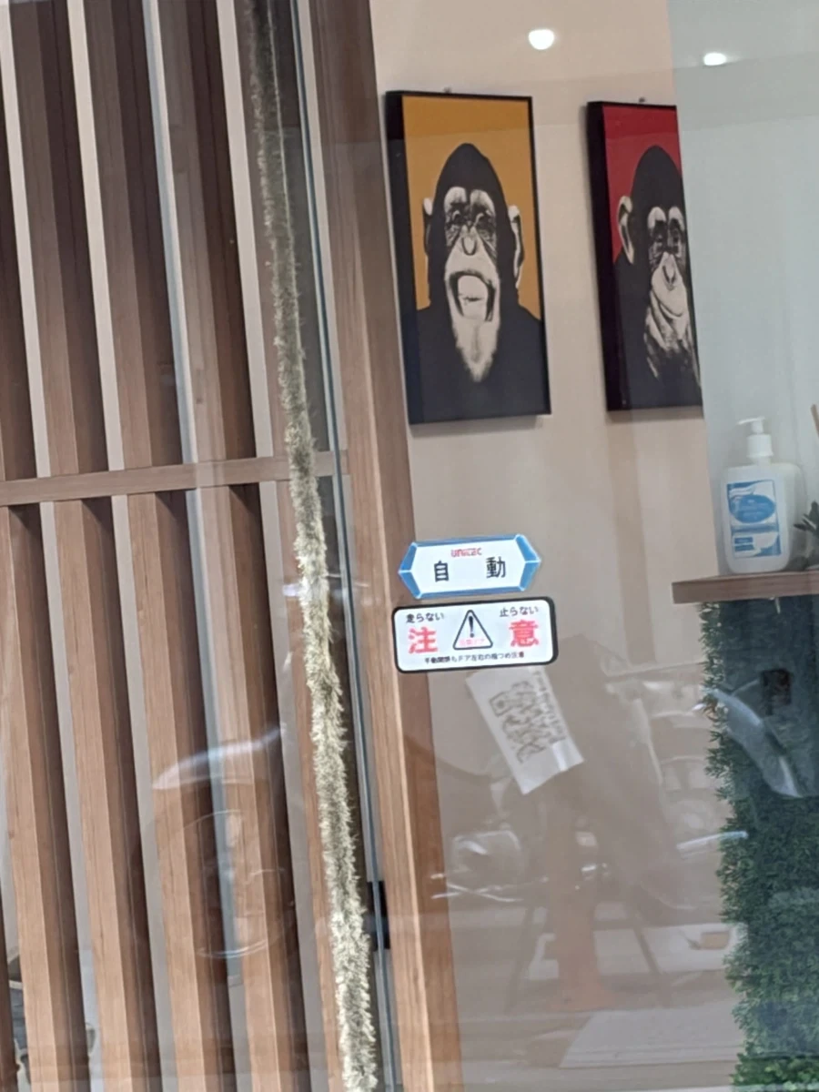 길에서 본 이대로갑시다_1.webp