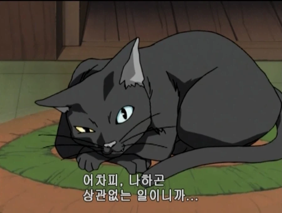 학교괴담)어둠의 눈 에피소드 다크시니 특징_6.webp