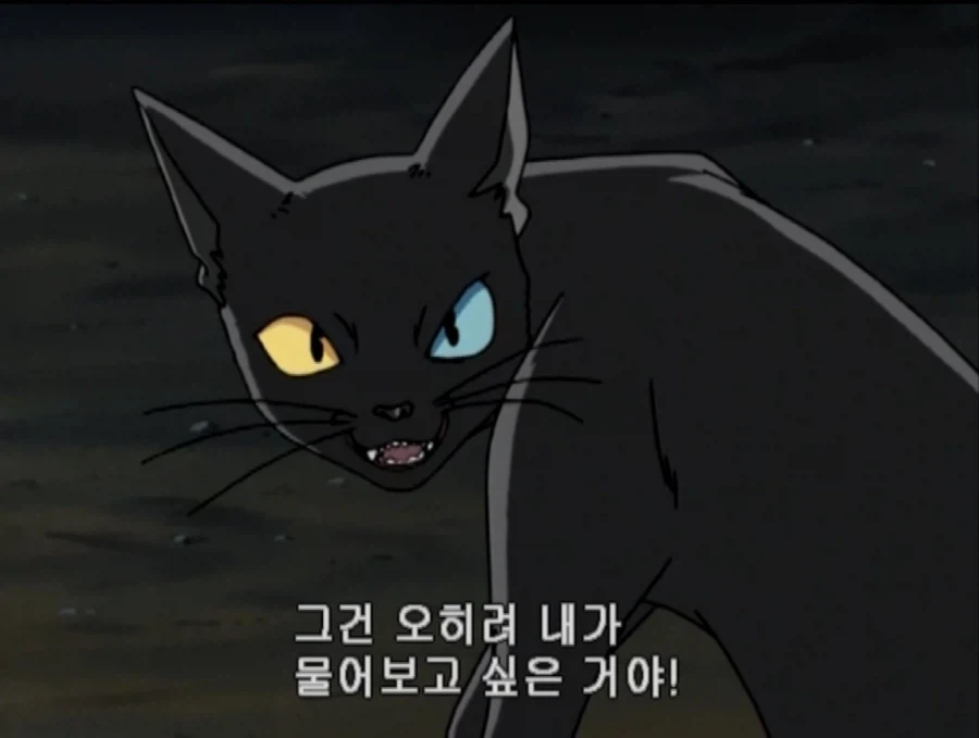 학교괴담)어둠의 눈 에피소드 다크시니 특징_11.webp