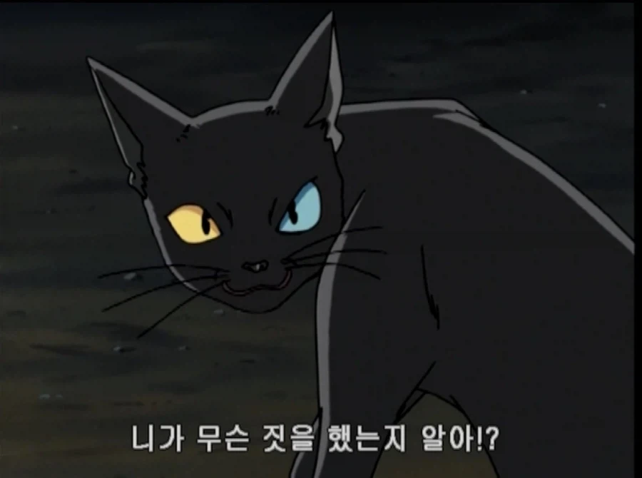 학교괴담)어둠의 눈 에피소드 다크시니 특징_12.webp