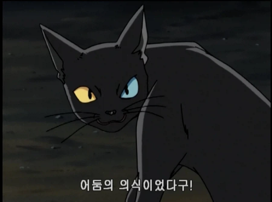 학교괴담)어둠의 눈 에피소드 다크시니 특징_14.webp