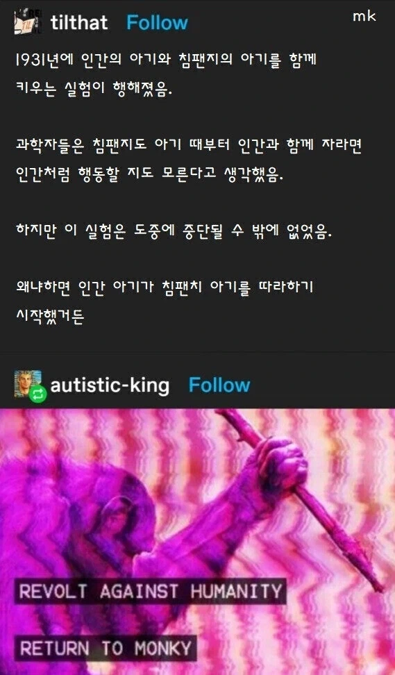 인간 아기와 침팬지 아기를 같이 키우는 실험이 중단된 이유.jpg_1.webp
