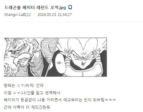 드래곤볼에서 베지터관련 오역이었던것_1.webp
