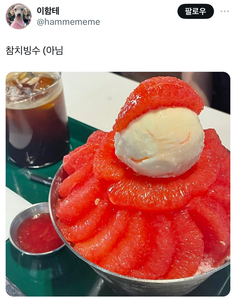 초코빙수와 참치빙수.jpg_5.jpg