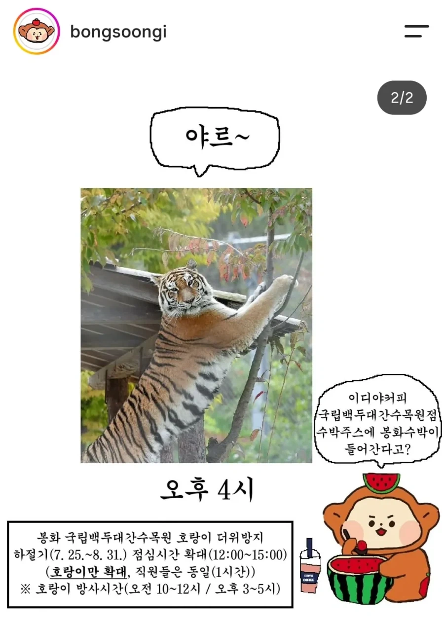 요새 치고 올라오는 봉화군 SNS_2.webp