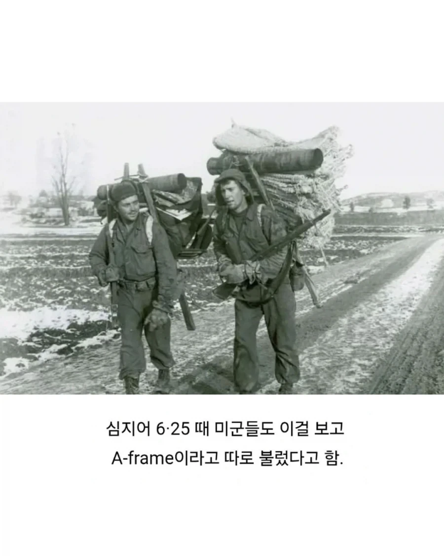 은근 인기있다는 한국의 프레임_3.webp