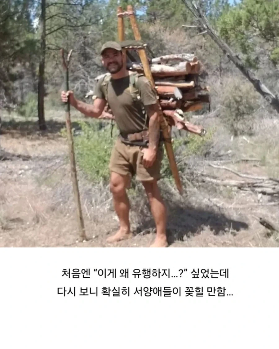 은근 인기있다는 한국의 프레임_4.webp