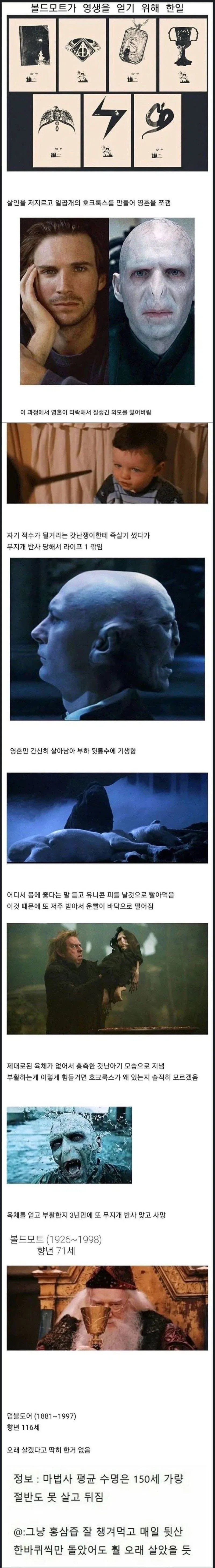 볼드모트가 영생을 얻기 위해 한 일_1.webp