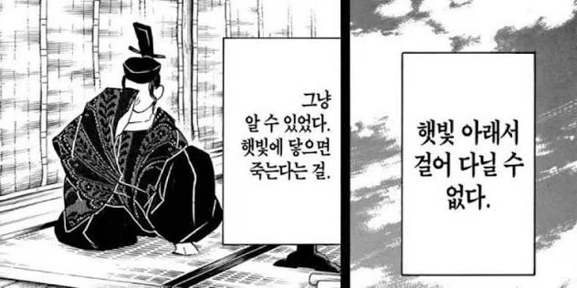 햇빛 이거 존나 신기하네ㅋㅋㅋ_1.webp