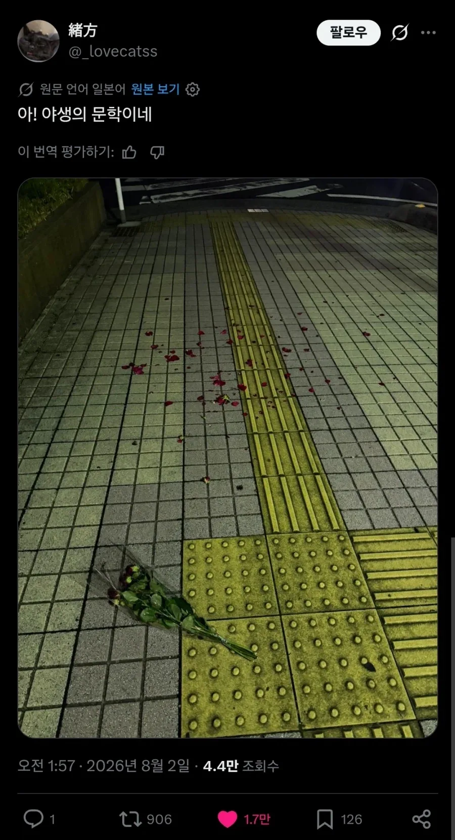 일본 거리에서 발견한