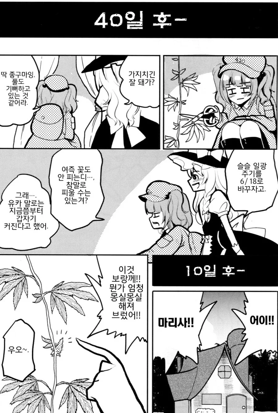 manga_3027612_011.webp
