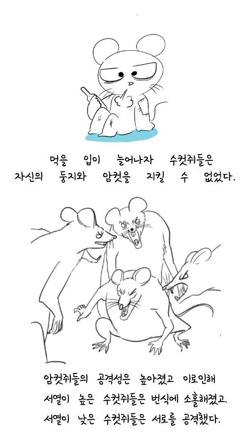manga_415144_004.webp
