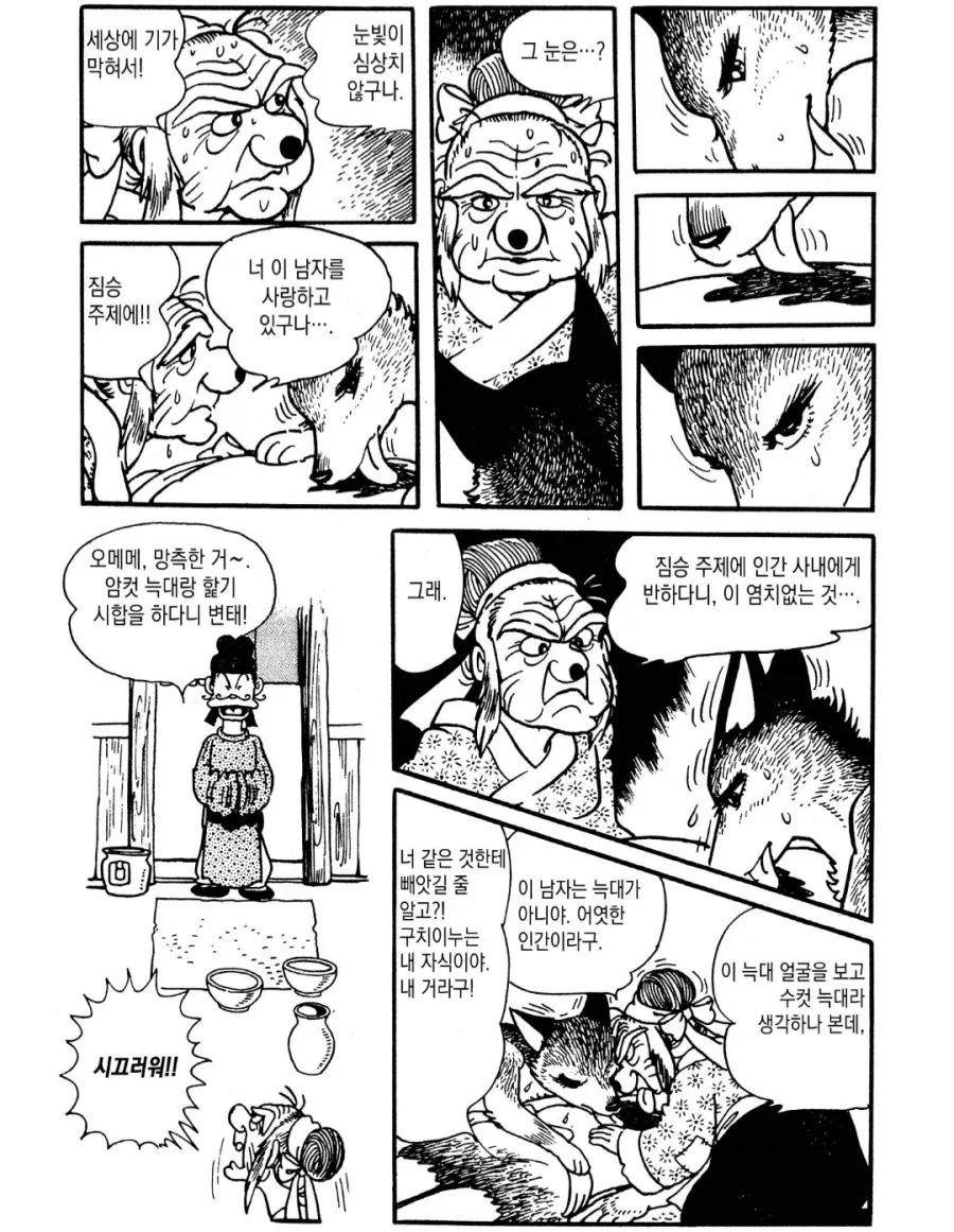 할머니와 여우의 캣파이트.manhwa_4.webp