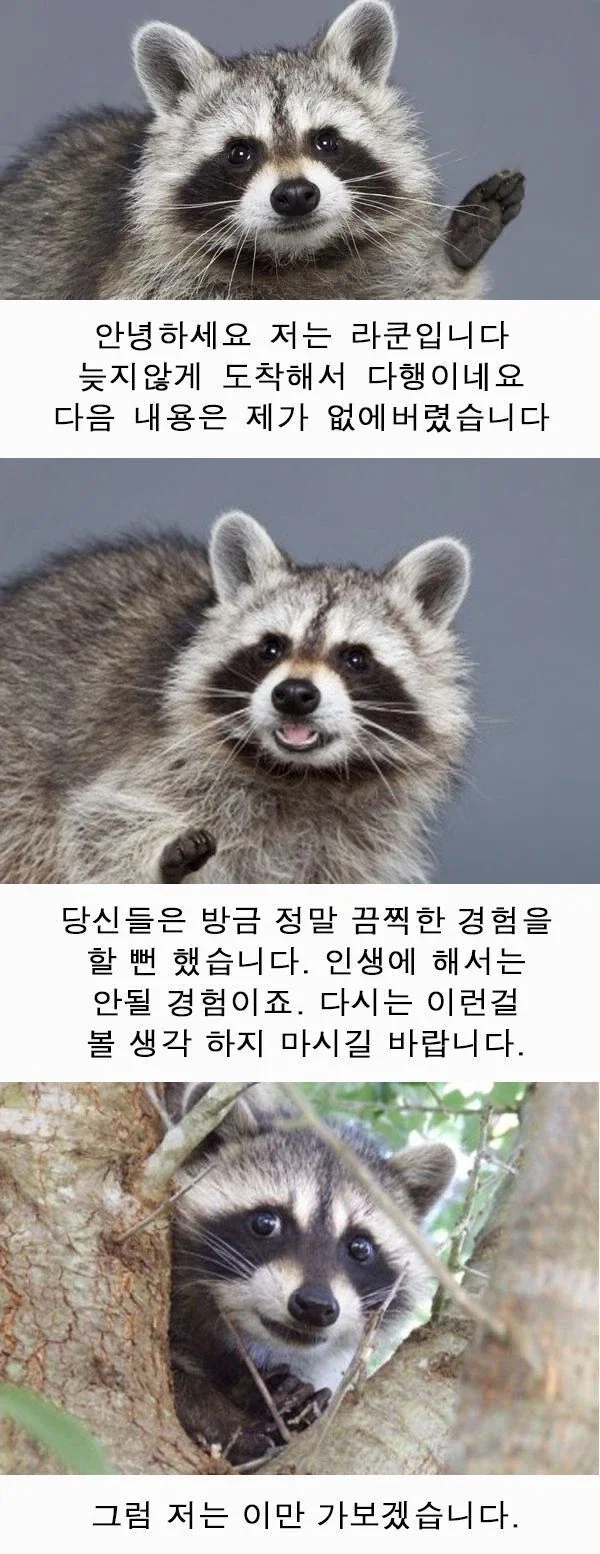 ㅈㄴ 꼴리는 오네쇼타 망가_6.webp