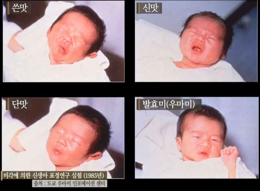 의외로 존재하는 짤.jpg_1.webp