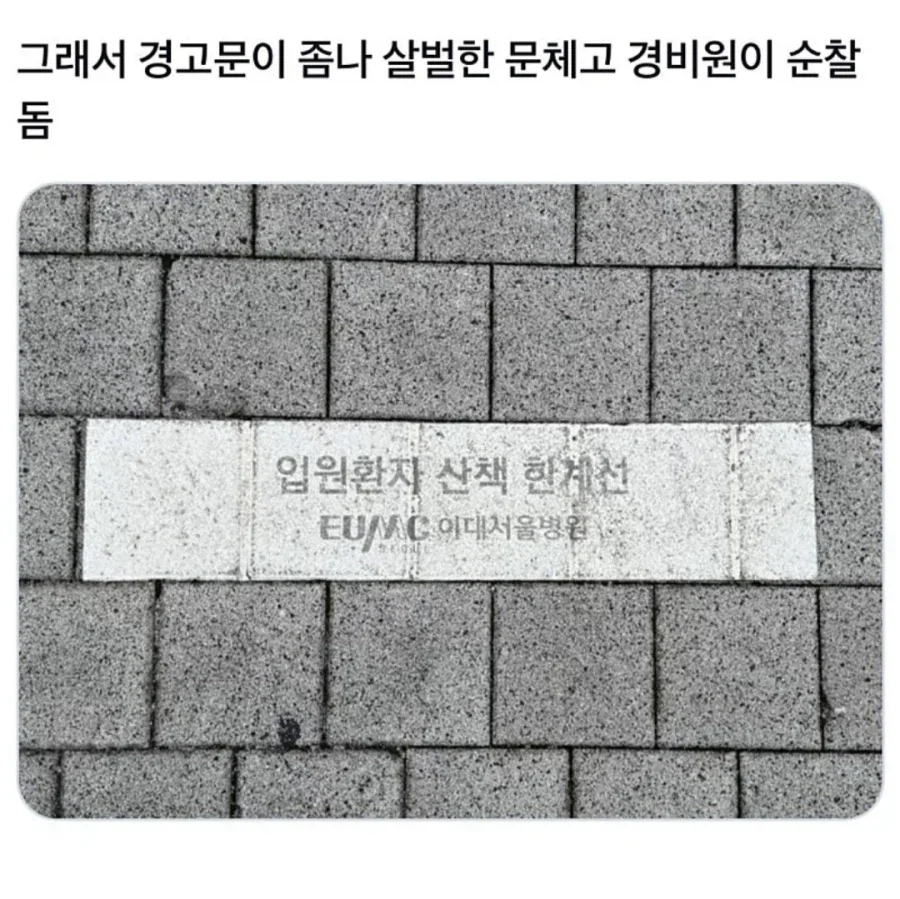 실제로 존재하는 한계선_2.webp