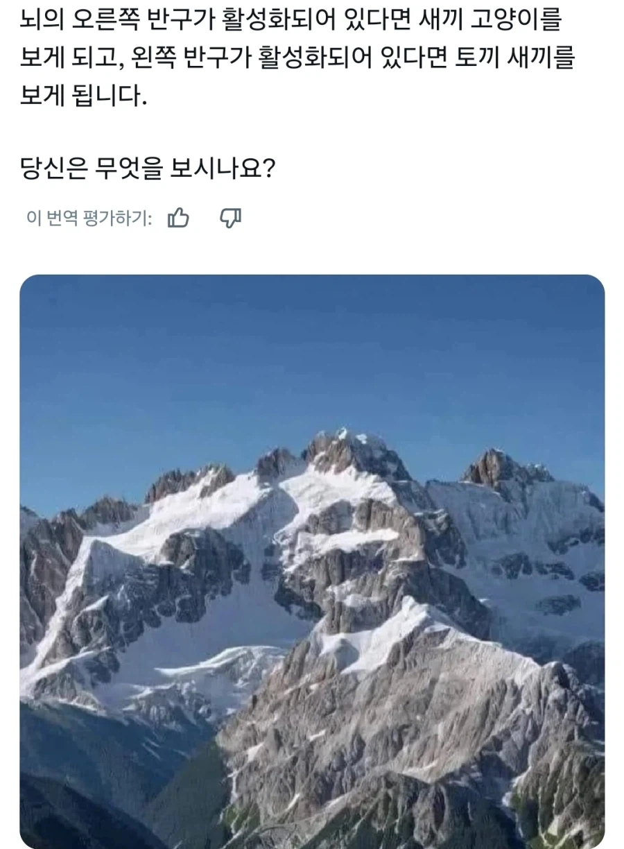 좌뇌우뇌 활성정도 비교하기_1.webp