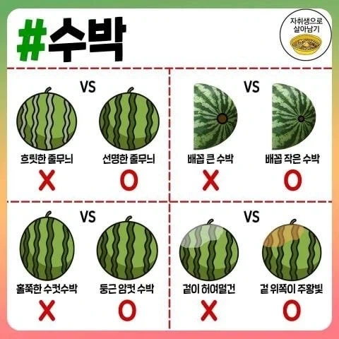 자취하면서 각종 음식 고르는 방법 와드.jpg_8.webp