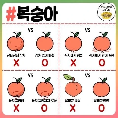 자취하면서 각종 음식 고르는 방법 와드.jpg_9.webp