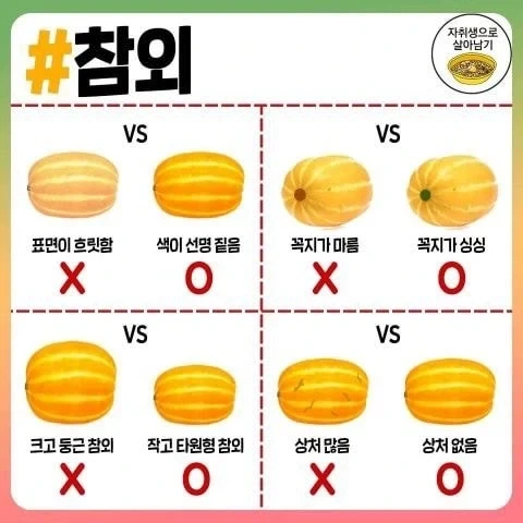 자취하면서 각종 음식 고르는 방법 와드.jpg_13.webp