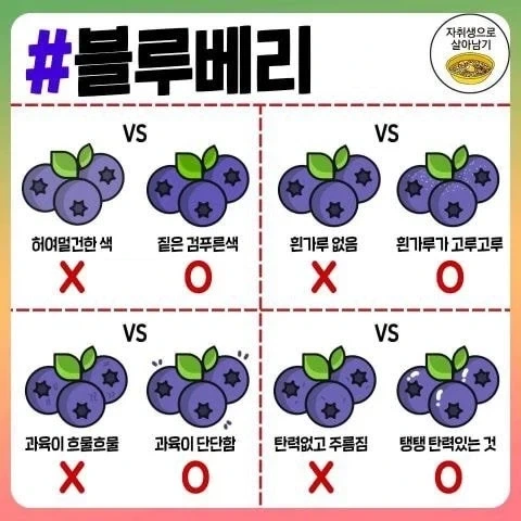 자취하면서 각종 음식 고르는 방법 와드.jpg_14.webp