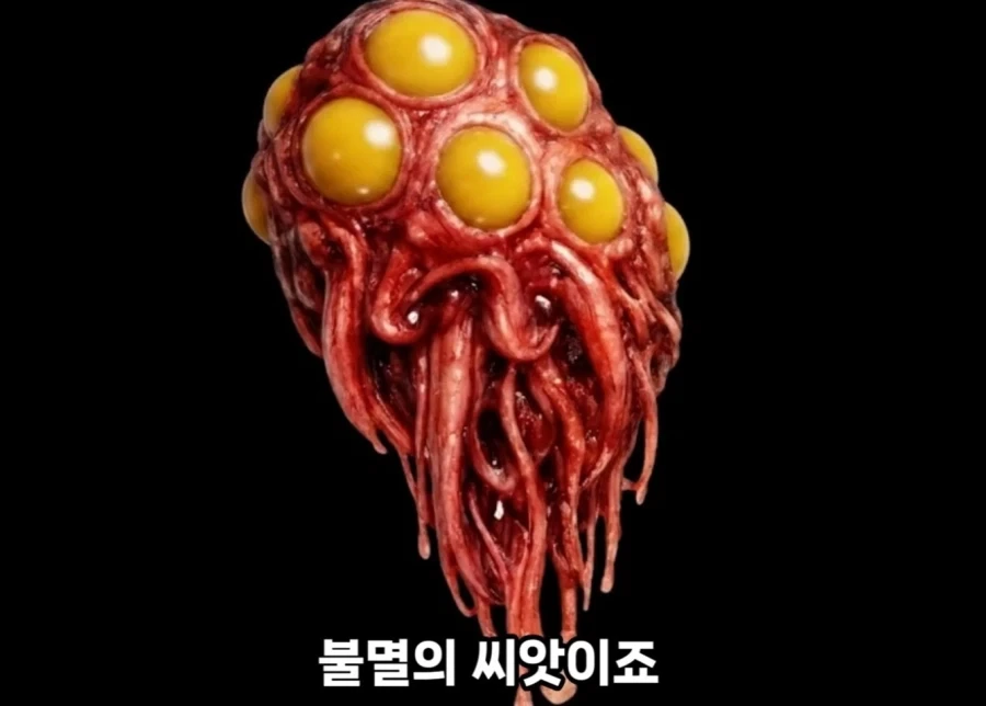 워해머40k가 해병문학 그 자체인 이유_4.webp