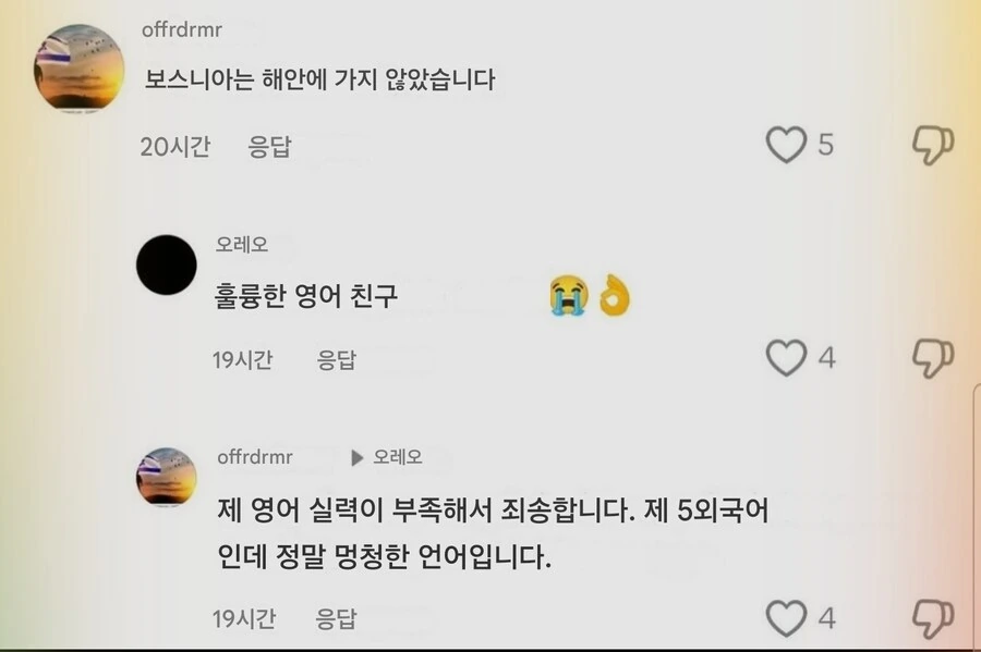 영어 틀렸다고 조롱당할시 옳은 반응_2.jpg
