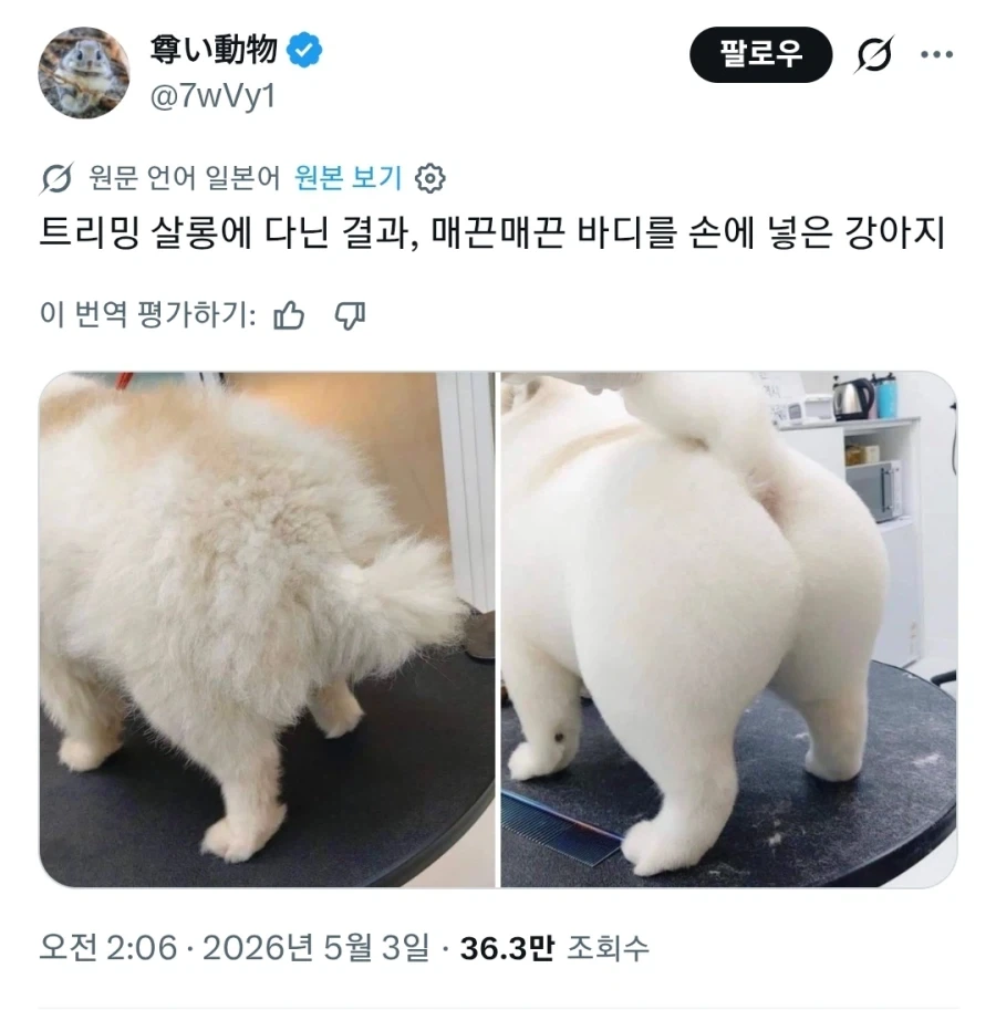 돈 주고 미용실 다니는 이유_1.webp